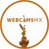 webcamsdemexico