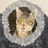 westviccats