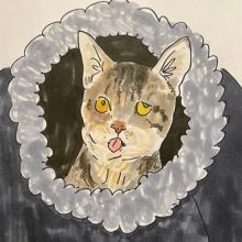 westviccats