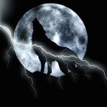 whowatwherewolf