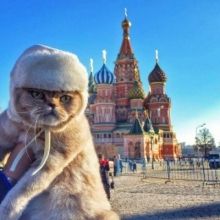 wild.moscow