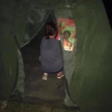 wildnrnz