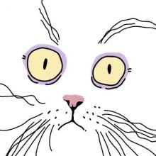 wmascat
