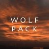 wolfpackonpplus