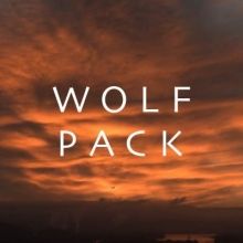 wolfpackonpplus