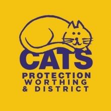 worthingcats