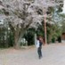 wthiro2