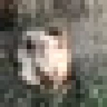 xave69
