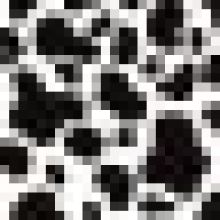 xhqm8