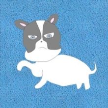 xxinuinu