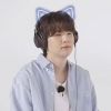 y.d.cat.oo