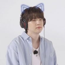 y.d.cat.oo