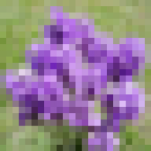 y5smap