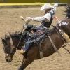 yankeecowboy24
