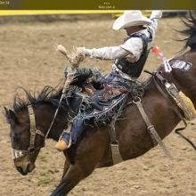 yankeecowboy24