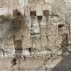 yedidia123
