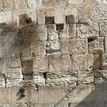 yedidia123