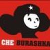 yoshitada.n