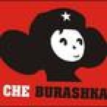 yoshitada.n