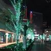 yossynaokamo