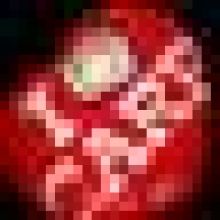 yukicarp