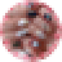 yurara.5476