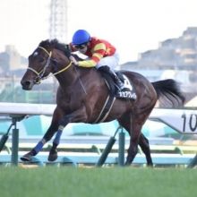 yutaro.nonaka