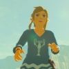 zakuya.botw