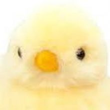 zen0j