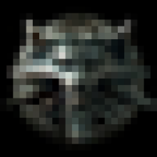 zenon47910103