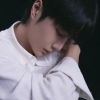 zhan0bo