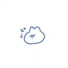zzz.pi0